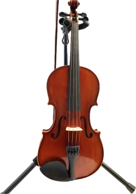 Eastman Strings Violin Outfit 4/4 Size 2